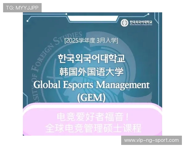 电竞行业蓬勃发展探讨如何打造顶级赛事与职业选手培养体系
