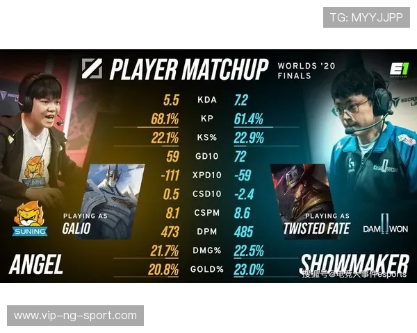 数据分析：南京排球队的团队协作表现